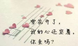 娱乐吃瓜酱伤感语录短句,娱乐吃瓜酱的内心独白