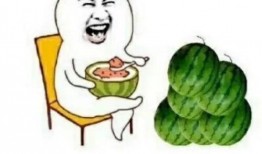 娱乐吃瓜自我介绍,我的趣味生活与八卦世界