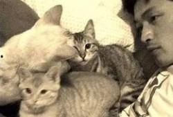 娱乐吃瓜猫张一张,揭秘娱乐圈背后的那些事儿